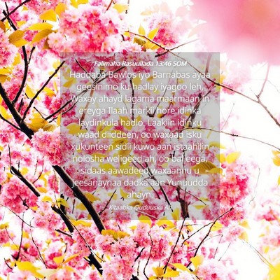 Picture 04 - Falimaha Rasuullada 13:46 SOM - Haddaba Bawlos iyo Barnabas ayaa geesinimo ku - Bible Verse Picture