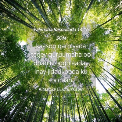 Picture 04 - Falimaha Rasuullada 14:16 SOM - kaasoo qarniyada tegey quruumaha oo dhan u - Bible Verse Picture