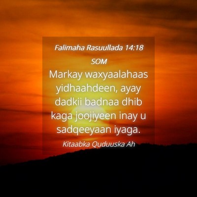 Picture 04 - Falimaha Rasuullada 14:18 SOM - Markay waxyaalahaas yidhaahdeen, ayay dadkii - Bible Verse Picture