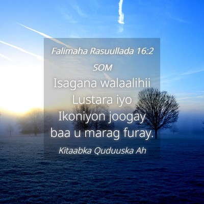 Picture 04 - Falimaha Rasuullada 16:2 SOM - Isagana walaalihii Lustara iyo Ikoniyon joogay - Bible Verse Picture