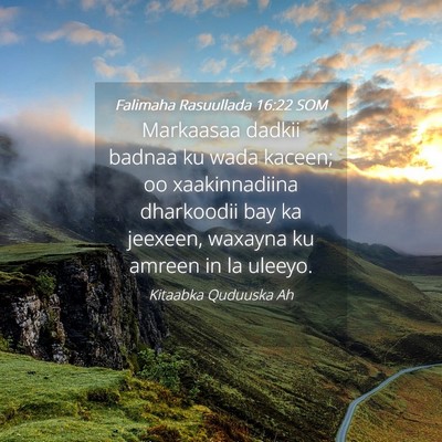 Picture 04 - Falimaha Rasuullada 16:22 SOM - Markaasaa dadkii badnaa ku wada kaceen; oo - Bible Verse Picture
