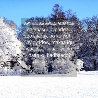Picture 04 - Falimaha Rasuullada 16:30 SOM - markaasuu dibadda u soo saaray, oo ku yidhi, - Bible Verse Picture