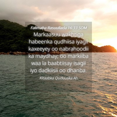 Picture 04 - Falimaha Rasuullada 16:33 SOM - Markaasuu wakhtiga habeenka qudhiisa iyagii - Bible Verse Picture