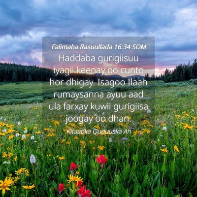 Picture 04 - Falimaha Rasuullada 16:34 SOM - Haddaba gurigiisuu iyagii keenay oo cunto hor - Bible Verse Picture