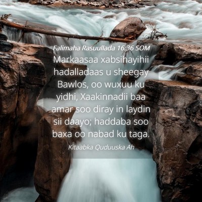 Picture 04 - Falimaha Rasuullada 16:36 SOM - Markaasaa xabsihayihii hadalladaas u sheegay - Bible Verse Picture