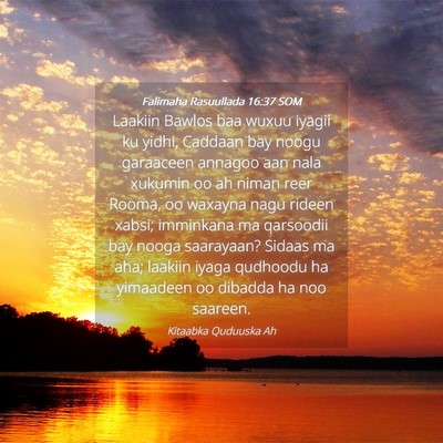 Picture 04 - Falimaha Rasuullada 16:37 SOM - Laakiin Bawlos baa wuxuu iyagii ku yidhi, Caddaan - Bible Verse Picture