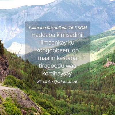 Picture 04 - Falimaha Rasuullada 16:5 SOM - Haddaba kiniisadihii iimaankay ku xoogoobeen, oo - Bible Verse Picture
