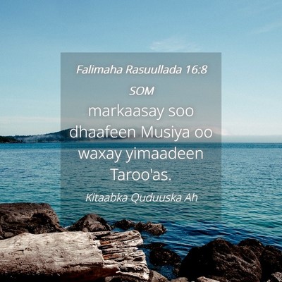 Picture 04 - Falimaha Rasuullada 16:8 SOM - markaasay soo dhaafeen Musiya oo waxay yimaadeen - Bible Verse Picture