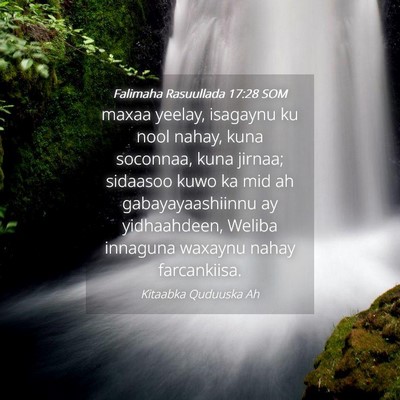 Picture 04 - Falimaha Rasuullada 17:28 SOM - maxaa yeelay, isagaynu ku nool nahay, kuna - Bible Verse Picture