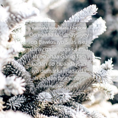 Picture 04 - Falimaha Rasuullada 17:4 SOM - Oo waxaa la rumaysiiyey oo Bawlos iyo Silas isku - Bible Verse Picture