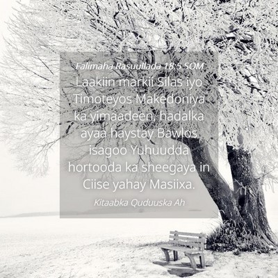 Picture 04 - Falimaha Rasuullada 18:5 SOM - Laakiin markii Silas iyo Timoteyos Makedoniya ka - Bible Verse Picture