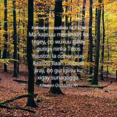 Picture 04 - Falimaha Rasuullada 18:7 SOM - Markaasuu meeshaas ka tegey, oo wuxuu galay - Bible Verse Picture