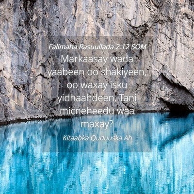 Picture 04 - Falimaha Rasuullada 2:12 SOM - Markaasay wada yaabeen oo shakiyeen, oo waxay - Bible Verse Picture