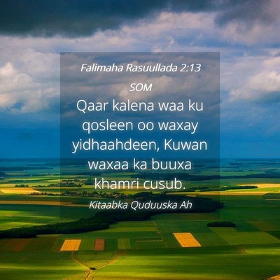 Picture 04 - Falimaha Rasuullada 2:13 SOM - Qaar kalena waa ku qosleen oo waxay yidhaahdeen, - Bible Verse Picture