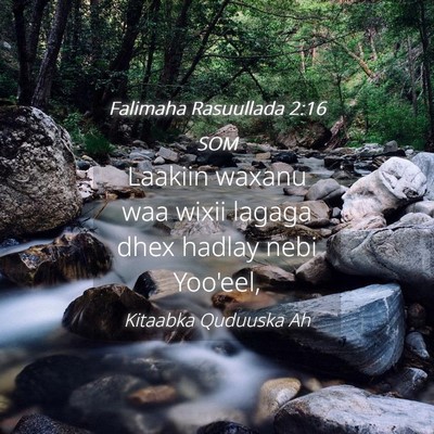 Picture 04 - Falimaha Rasuullada 2:16 SOM - Laakiin waxanu waa wixii lagaga dhex hadlay nebi - Bible Verse Picture