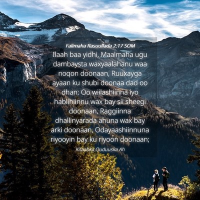 Picture 04 - Falimaha Rasuullada 2:17 SOM - Ilaah baa yidhi, Maalmaha ugu dambaysta - Bible Verse Picture