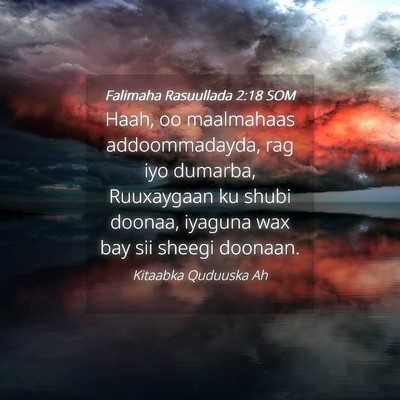 Picture 04 - Falimaha Rasuullada 2:18 SOM - Haah, oo maalmahaas addoommadayda, rag iyo - Bible Verse Picture