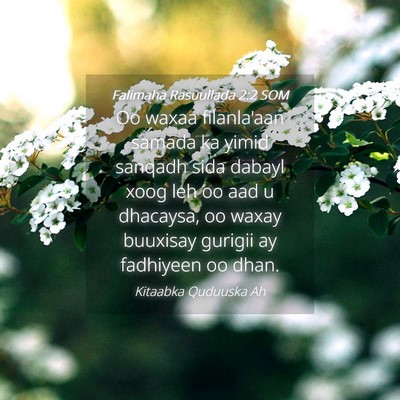 Picture 04 - Falimaha Rasuullada 2:2 SOM - Oo waxaa filanla'aan samada ka yimid sanqadh sida - Bible Verse Picture