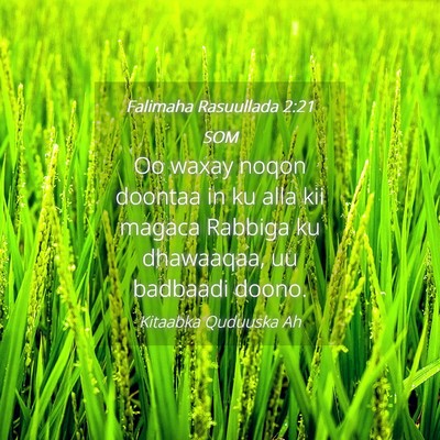 Picture 04 - Falimaha Rasuullada 2:21 SOM - Oo waxay noqon doontaa in ku alla kii magaca - Bible Verse Picture