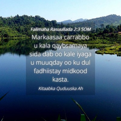 Picture 04 - Falimaha Rasuullada 2:3 SOM - Markaasaa carrabbo u kala qaybsamaya sida dab oo - Bible Verse Picture