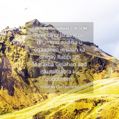 Picture 04 - Falimaha Rasuullada 2:36 SOM - Reer binu Israa'iil oo dhammu aad ha u ogaadeen - Bible Verse Picture