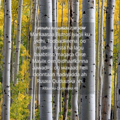 Picture 04 - Falimaha Rasuullada 2:38 SOM - Markaasaa Butros iyagii ku yidhi, Toobadkeena, oo - Bible Verse Picture
