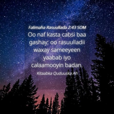 Picture 04 - Falimaha Rasuullada 2:43 SOM - Oo naf kasta cabsi baa gashay; oo rasuulladii - Bible Verse Picture
