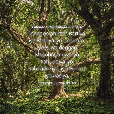 Picture 04 - Falimaha Rasuullada 2:9 SOM - Innagoo ah reer Bartiya iyo Mediya iyo Ceelaam, - Bible Verse Picture