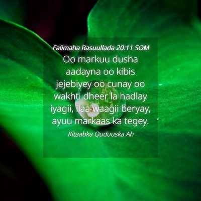 Picture 04 - Falimaha Rasuullada 20:11 SOM - Oo markuu dusha aadayna oo kibis jejebiyey oo - Bible Verse Picture