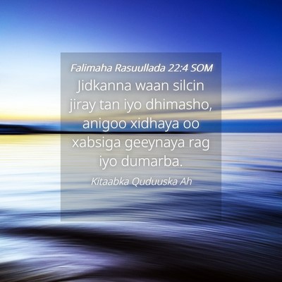 Picture 04 - Falimaha Rasuullada 22:4 SOM - Jidkanna waan silcin jiray tan iyo dhimasho, - Bible Verse Picture
