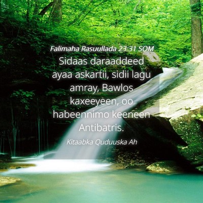 Picture 04 - Falimaha Rasuullada 23:31 SOM - Sidaas daraaddeed ayaa askartii, sidii lagu - Bible Verse Picture