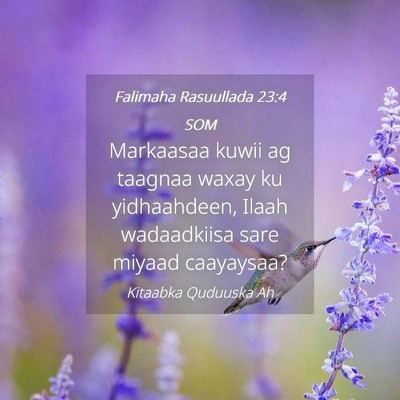 Picture 04 - Falimaha Rasuullada 23:4 SOM - Markaasaa kuwii ag taagnaa waxay ku yidhaahdeen, - Bible Verse Picture