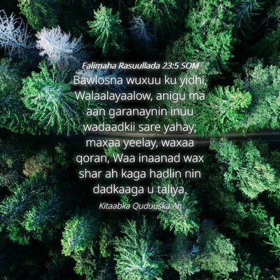 Picture 04 - Falimaha Rasuullada 23:5 SOM - Bawlosna wuxuu ku yidhi, Walaalayaalow, anigu ma - Bible Verse Picture