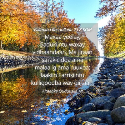 Picture 04 - Falimaha Rasuullada 23:8 SOM - Maxaa yeelay, Sadukiintu waxay yidhaahdaan, Ma - Bible Verse Picture