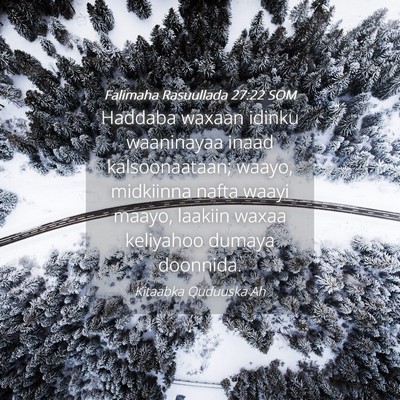 Picture 04 - Falimaha Rasuullada 27:22 SOM - Haddaba waxaan idinku waaninayaa inaad - Bible Verse Picture