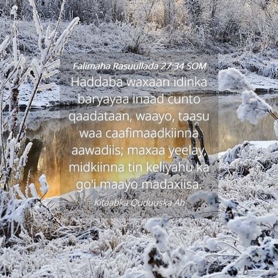 Picture 04 - Falimaha Rasuullada 27:34 SOM - Haddaba waxaan idinka baryayaa inaad cunto - Bible Verse Picture