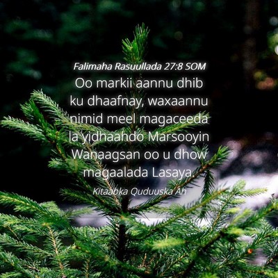 Picture 04 - Falimaha Rasuullada 27:8 SOM - Oo markii aannu dhib ku dhaafnay, waxaannu nimid - Bible Verse Picture
