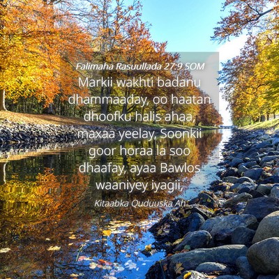 Picture 04 - Falimaha Rasuullada 27:9 SOM - Markii wakhti badanu dhammaaday, oo haatan - Bible Verse Picture