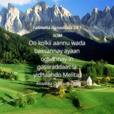 Picture 04 - Falimaha Rasuullada 28:1 SOM - Oo kolkii aannu wada baxsannay ayaan ogaannay in - Bible Verse Picture