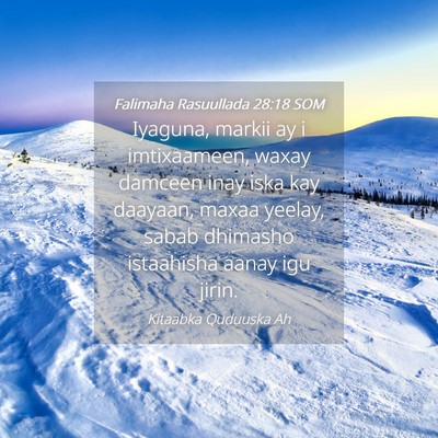 Picture 04 - Falimaha Rasuullada 28:18 SOM - Iyaguna, markii ay i imtixaameen, waxay damceen - Bible Verse Picture