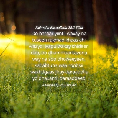 Picture 04 - Falimaha Rasuullada 28:2 SOM - Oo barbariyiintii waxay na tuseen raxmad khaas - Bible Verse Picture