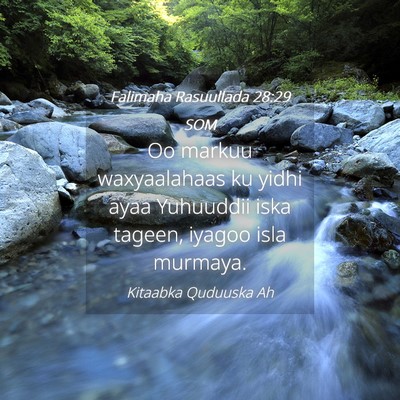 Picture 04 - Falimaha Rasuullada 28:29 SOM - Oo markuu waxyaalahaas ku yidhi ayaa Yuhuuddii - Bible Verse Picture