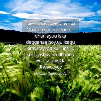 Picture 04 - Falimaha Rasuullada 28:30 SOM - Oo laba sannadood oo dhan ayuu iska degganaa hoy - Bible Verse Picture