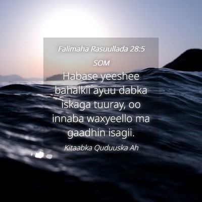Picture 04 - Falimaha Rasuullada 28:5 SOM - Habase yeeshee bahalkii ayuu dabka iskaga tuuray, - Bible Verse Picture