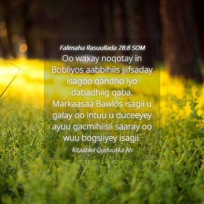 Picture 04 - Falimaha Rasuullada 28:8 SOM - Oo waxay noqotay in Bobliyos aabbihiis jiifsaday - Bible Verse Picture