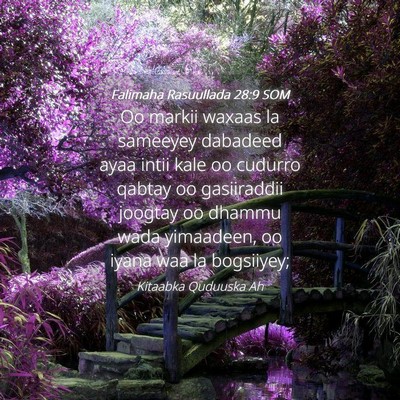 Picture 04 - Falimaha Rasuullada 28:9 SOM - Oo markii waxaas la sameeyey dabadeed ayaa intii - Bible Verse Picture