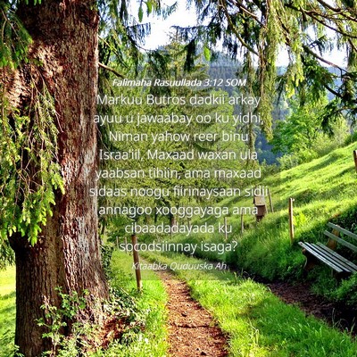 Picture 04 - Falimaha Rasuullada 3:12 SOM - Markuu Butros dadkii arkay ayuu u jawaabay oo ku - Bible Verse Picture