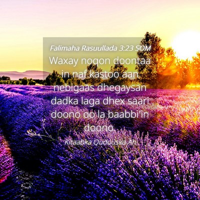 Picture 04 - Falimaha Rasuullada 3:23 SOM - Waxay noqon doontaa in naf kastoo aan nebigaas - Bible Verse Picture