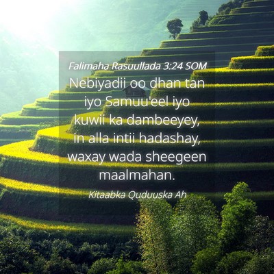 Picture 04 - Falimaha Rasuullada 3:24 SOM - Nebiyadii oo dhan tan iyo Samuu'eel iyo kuwii ka - Bible Verse Picture