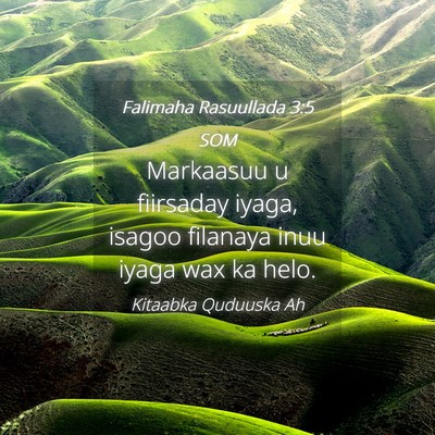 Picture 04 - Falimaha Rasuullada 3:5 SOM - Markaasuu u fiirsaday iyaga, isagoo filanaya inuu - Bible Verse Picture